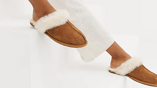 A Woman Wearing UGG Scuffette II Slippers