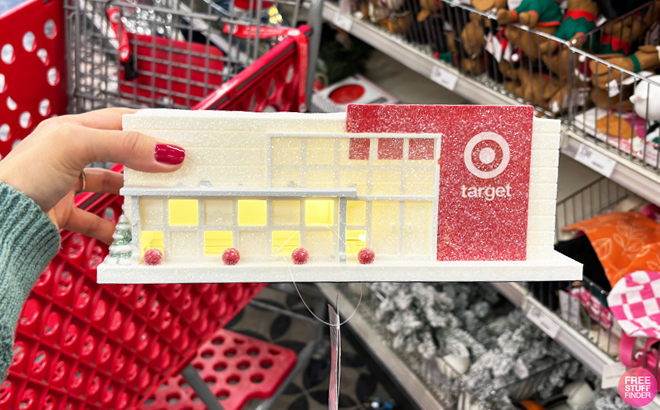 A person holding a Bullseyes Playground LED Target Store