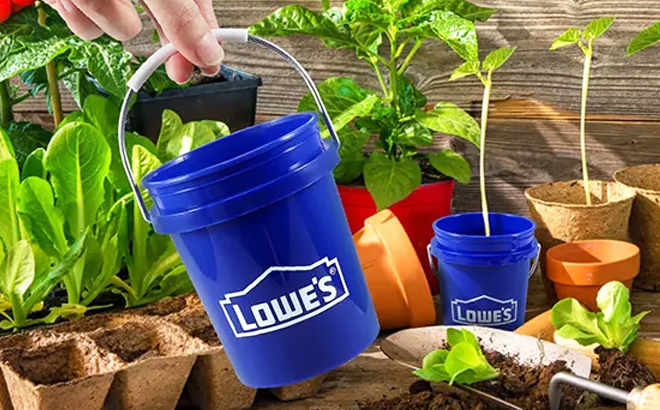 A person holding a Lowes Mini Bucket 0 5 Quart