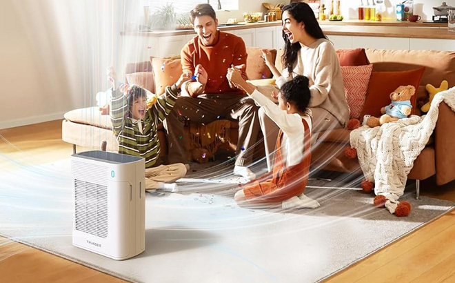 Air Purifier for Home Large Room Copy