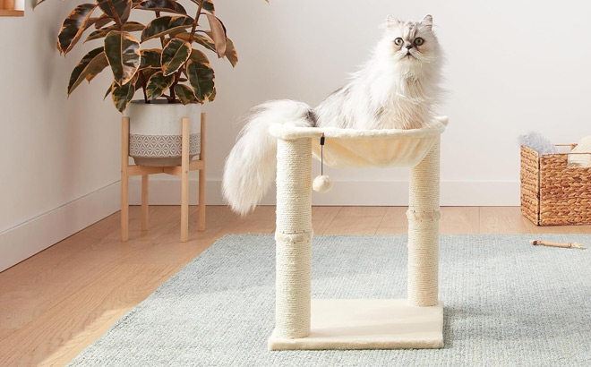 Amazon Basics Cat Tower with Hammock