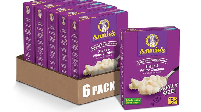 Annies White Cheddar Shells Pasta 6 Pack