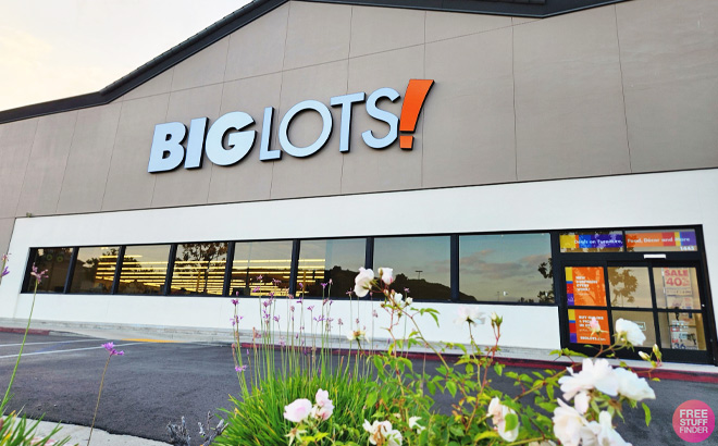 Big Lots Store Front