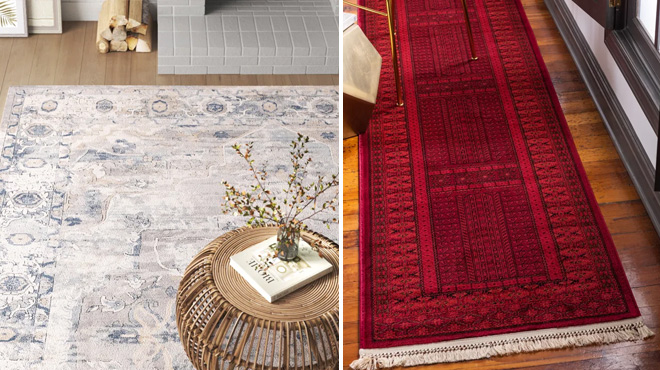 Cambrie Oriental Rug and Amro Southwestern Rug