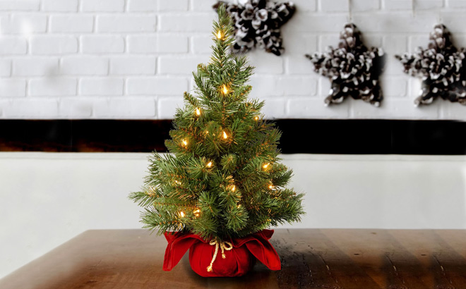 Christmas Tree on a Table