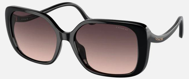 Coach Women's 56mm Black Sunglasses