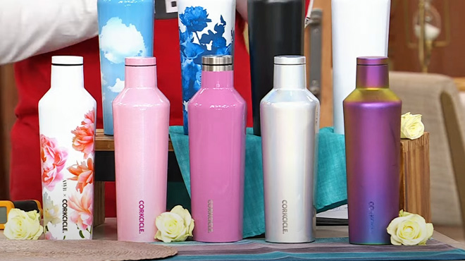 Corkcicle 16 ounce Canteen Insulated Drinkware