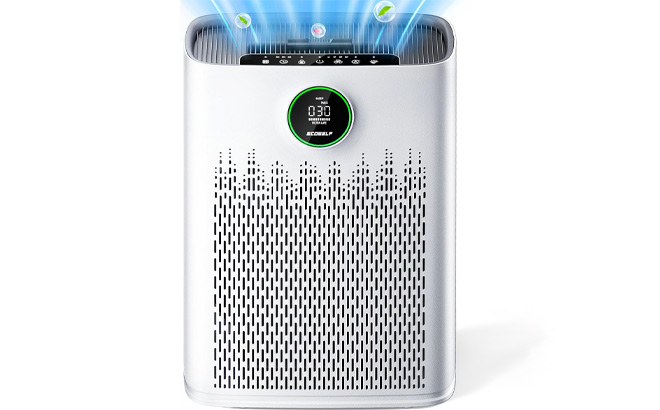 Ecoself Air Purifier