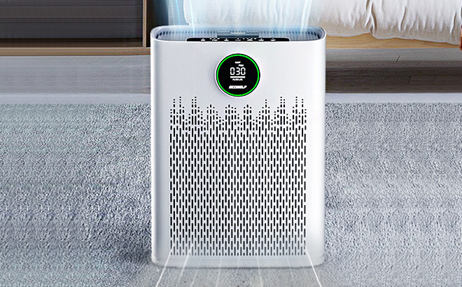 Ecoself Large Room Air Purifier