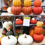 Fall Decor Pumpkins at Michaels