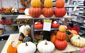 Fall Decor Pumpkins at Michaels