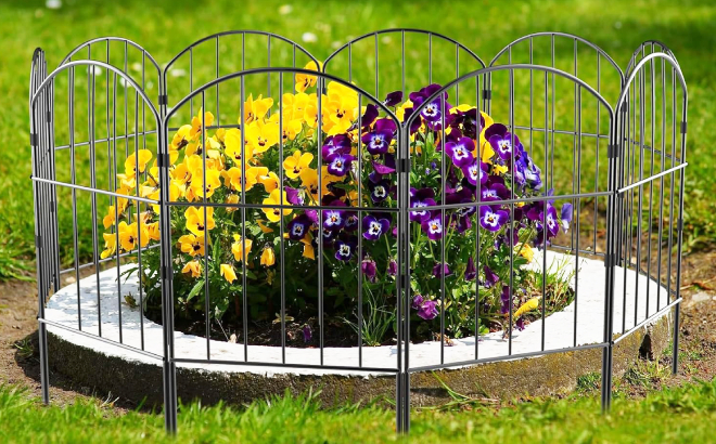 Flowers with Garden Fence Around Them