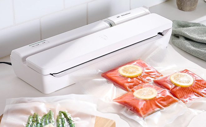 FoodSaver 2 in 1 Vacuum Sealing System on the Kitchen Sink sealing Salmon meat