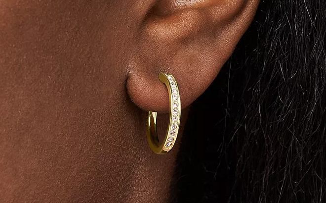 Fossil Hoop Earrings