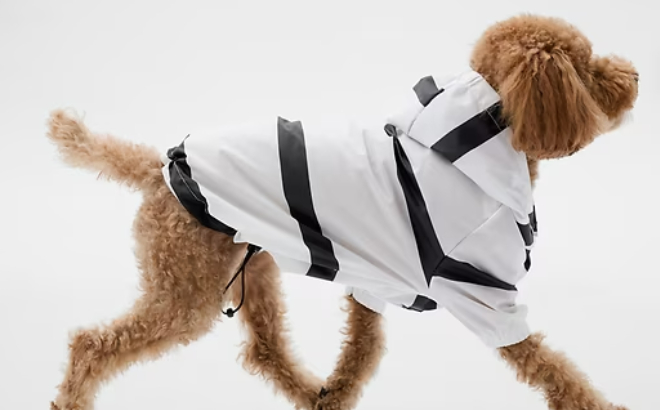 GAP Pet Rain Jacket