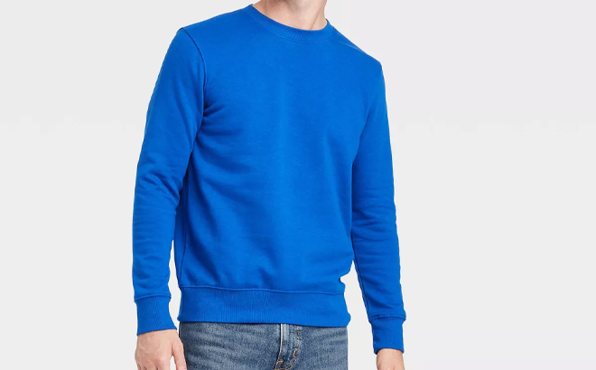 Goodfellow Co Mens Crewneck Pullover Sweatshirt