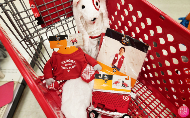 Halloween Costumes in Cart at Target