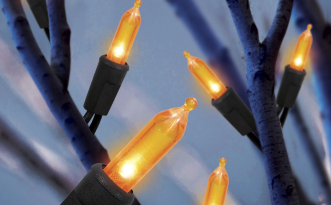 Halloween Orange LED Mini String Lights