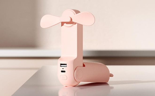 Handheld Mini Fan in Pink Color