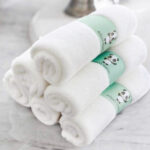 Hiphop Panda Baby Washcloths