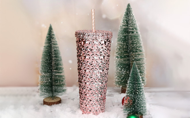 Holiday Time 26 oz Plastic Double Wall Insulated Textured Tumbler