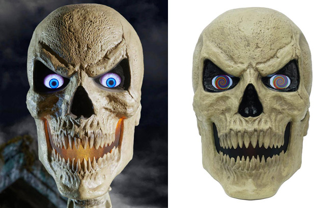 Home Accents Holiday Standard Skelly Scary Head