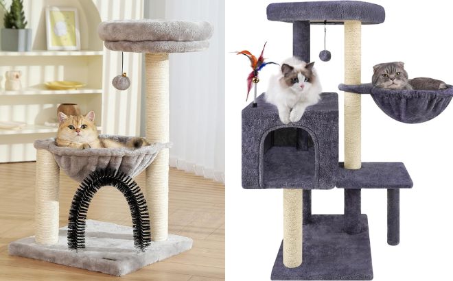 Hoopet Cat Tree Tower and Aiwikide Multifunction Cat Tree