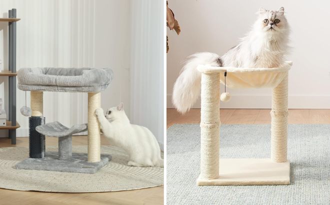 Hoopet Cat Tree Tower and Amazon Basics Cat Tower