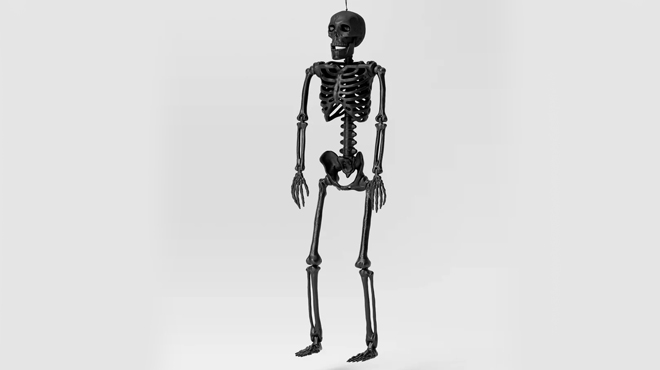 Hyde EEK Halloween Jointed Skeleton