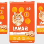 Iams Proactive Health 22 Pound Chicken Dry Cat Food