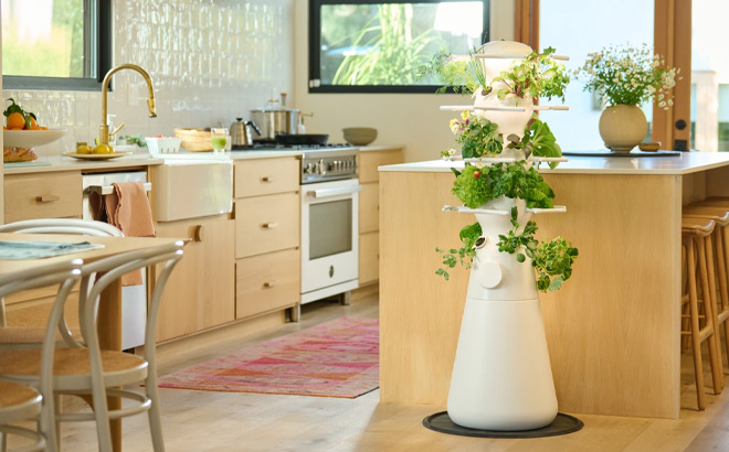 Indoor Farmstand