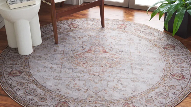 Langley Street Sonia Oriental Power Loom Rug