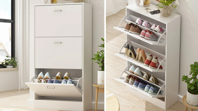 Latitude Run 18 Pair Shoe Storage Cabinet