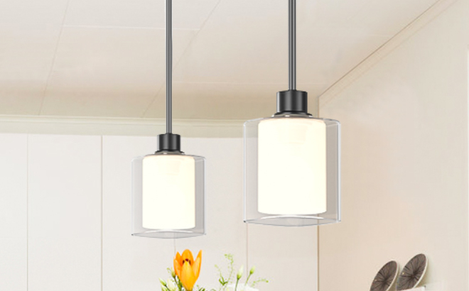 Lightbiz Pendant Lights