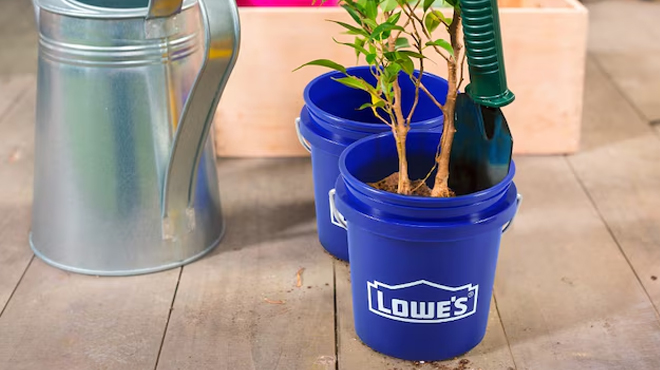 Lowes Mini Bucket 0 5 Quart