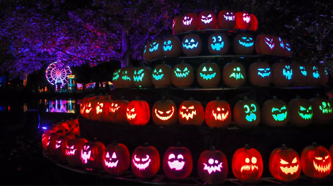 Magic of the Jack O' Lanterns