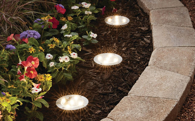 Mainstays Solar Powered Stainless Steel LED Disc Lights