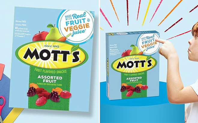 Motts Fruit Flavored Snacks 40 Count