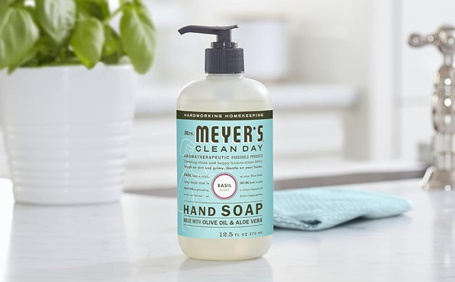 Mrs Meyers Clean Day Hand Soap