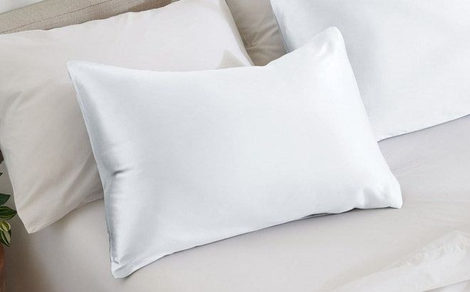 Mulberry Silk Zipper Pillowcase