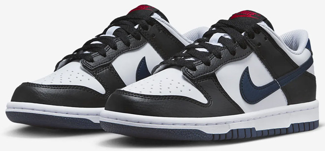 Nike Dunk Low Big Kids Shoes