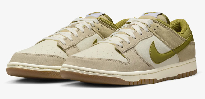 Nike Dunk Low Mens Shoes