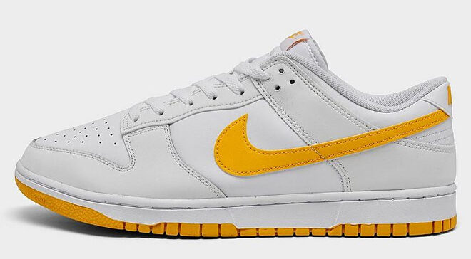 Nike Dunk Low Retro Casual Shoe