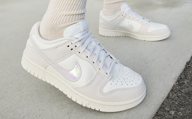 Nike Dunk Low Womens Shoes