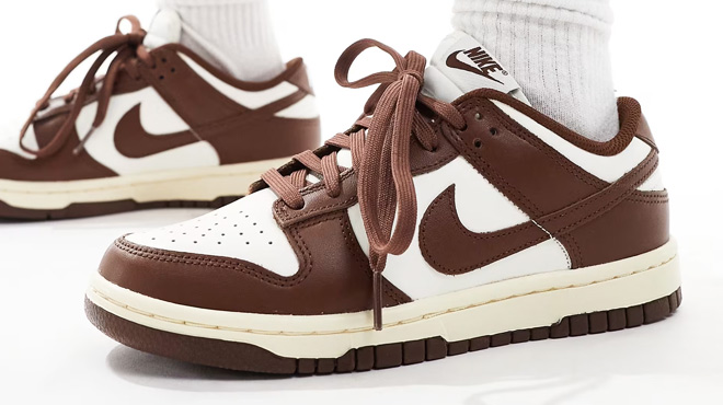 Nike Dunk Shoes Brown