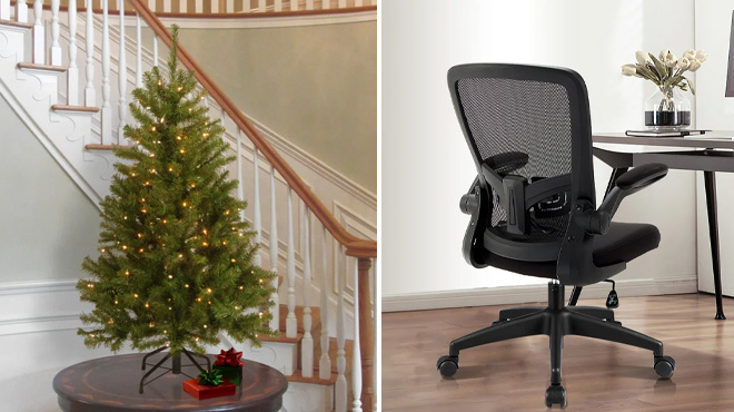 North Valley Spruce Tree and Ergonomic Task Chair