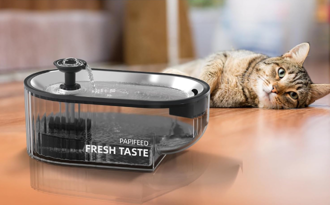 Papifeed Cat Automatic Water Fountain