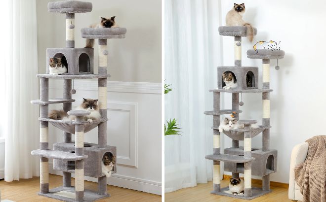 Pawz Road Cat Tree