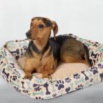 PetSmart Bone and Paw Cuddler Dog Bed