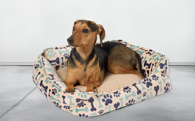 PetSmart Bone and Paw Cuddler Dog Bed